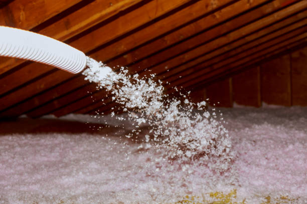 Best Specialized Insulation Services in Normandy Park, WA