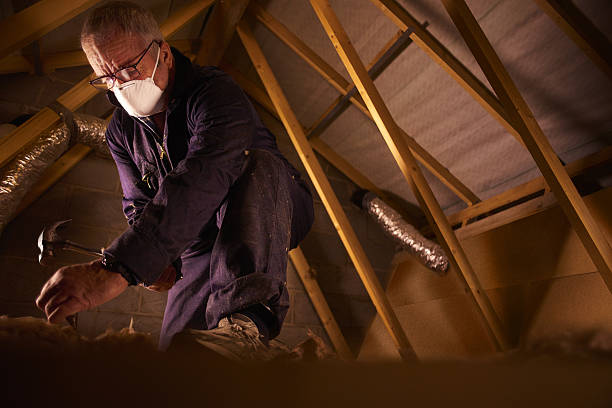 Types of Insulation We Offer in Normandy Park, WA